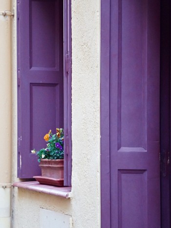 Kruka i fönster, Collioure