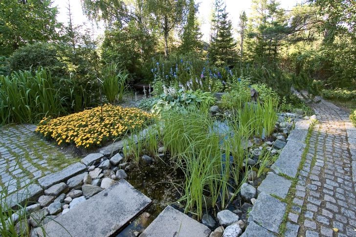 Stengången i den norra trädgården fortsätter rakt ut i skogen. Här liksom i den södra trädgården är marken uppdelad i rektangulära ytor bestående av vatten, växter och sten. Den gula kvadraten till vänster är består av tagetes och i vattnet växer frodiga ruggar av svärdslilja, Iris pseudacorus.