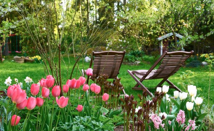 Tulpanerna 'Pink Impression' och 'White Dream' med hyacinten  'Pink Pearl'.