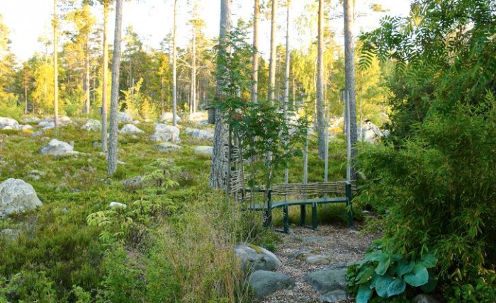 En enkel bågformad sittplats mellan vild natur och trädgård. Här frodas trädgårdsväxter sida vid sida med blåbärs-och lingonris. Bergbambu. Fargesia murielae, böjer sig graciöst över funkior som hittat tillräckligt med fukt för att trivas mellan stenarna.
