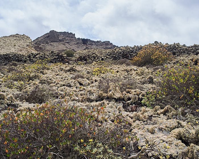 En nästan spöklik stämning skapas av de kraftigväxande lavarna som täckt på lavastenarna och till delar också buskagen på sidan av Monte Corona.