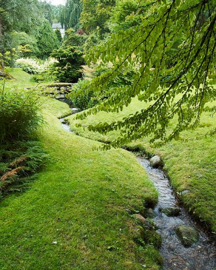 Både typisk och otypisk kan man säga att den japanska delen på Norrvikens trädgårdar är. Där finns den ostörda vattenytan, vattenfallen, bäcken, enkelheten i växtval och gångarna att strosa på. Japaner däremot uppfattar den snarast som typiskt nordisk. Och det är kanske bästa tänkbara betyg.
