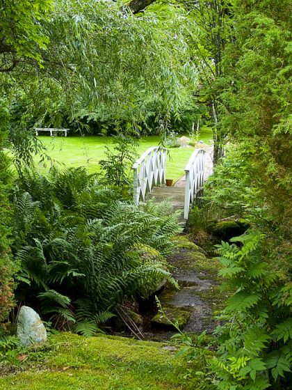 I Småland, mellan skog och äng, skapade Katarina och Sten Dunér sin trädgård Drömmens. Där är det svårt att alltid veta vad som är natur och vad som är trädgård. Det gröna och lummiga skapar välmående.