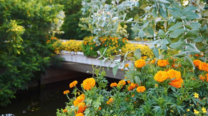 Mixade rabatter – Trädgård à la Rosenholm