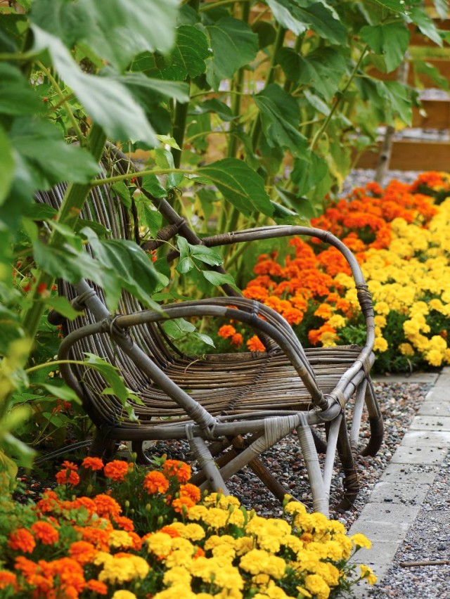 Mixade rabatter – Trädgård à la Rosenholm