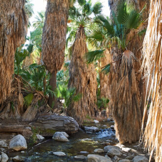 Dagens gröna 3 maj – Tahquitz Canyon