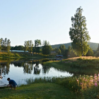 Dagens gröna 21 juli – Dammen i Lagfors