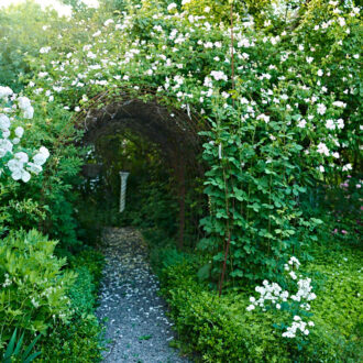 Dagens gröna 4 juli – Rosenpergola av armeringsjärn