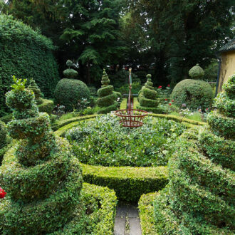 Dagens gröna 18 juli – Maryhills buxbomstopiarier