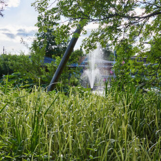 Dagens gröna 23 juli – Jämtländskt trädgårdsvattenland