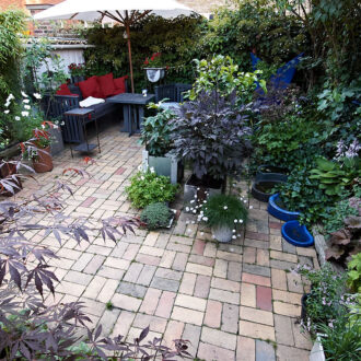 Dagens gröna 27 juli – Djungelkänsla innanför plank i Landskrona