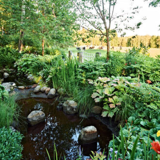 Dagens gröna 30 juli – Damm på ändmorän i Västerbotten