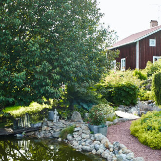 Dagens gröna 3 augusti – Trädgårdscafé i Hassela