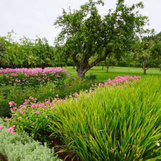 Dagens gröna 15 augusti – Selma Lagerlöfs Mårbacka