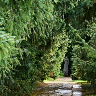 Dagens gröna 16 augusti – Inramat blickfång mellan mörker och ljus