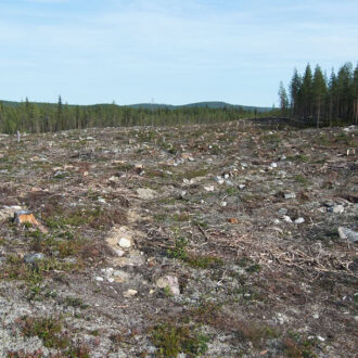 Dagens gröna 21 augusti är grå – Massaker på biologisk mångfald