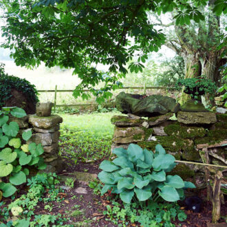 Dagens gröna 23 augusti – Ulf Trotzigs Ölandsträdgård