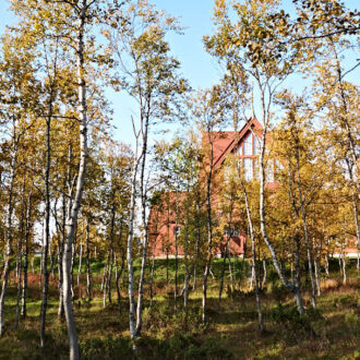 Dagens gröna 24 augusti – Kiruna kyrka omsluten av fjällbjörk