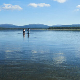 Dagens gröna 25 augusti – Som att gå på vatten