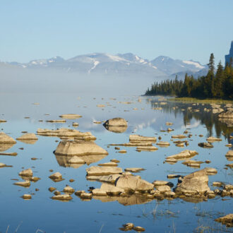 Dagens gröna 29 augusti – Skönare vy är svår att hitta