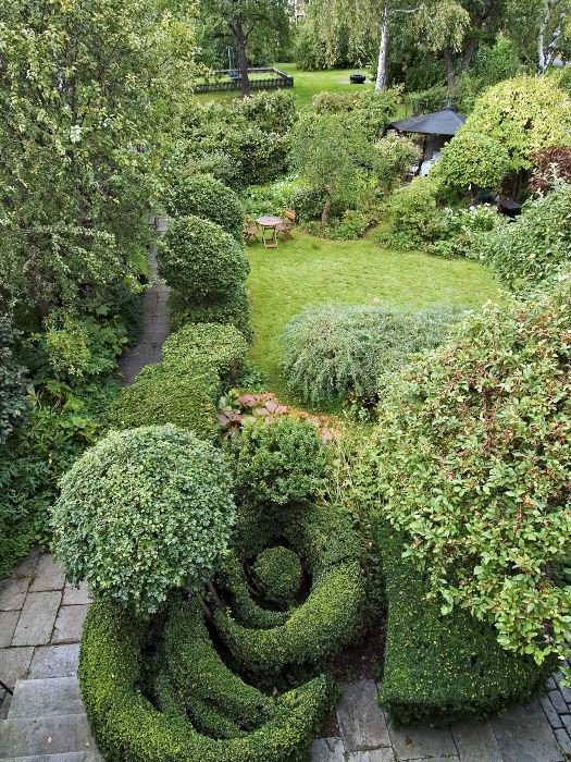 Klippta figurer i idegran, hagtorn och buxbom hos trädgårdsarkitekt Walter Bauer på Lidingö