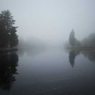 Dagens gröna 9 september – Morgondimma i Medelpad