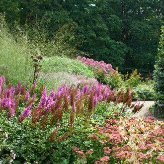 Dagens gröna 2 september – Drömparken i Enköping