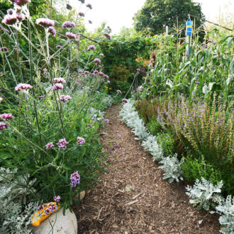 Dagens gröna 6 september – Mer Börje Remstam