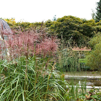 Dagens gröna 30 september – Transparent i Enköping