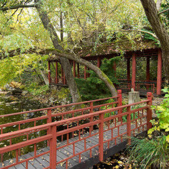 Dagens gröna 7 oktober – Bastedalens Kinapark Dagens gröna 7 oktober – Bastedalens Kinapark