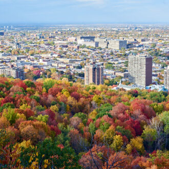 Dagens gröna 12 oktober – Mer berg av berget Mount Royal Dagens gröna 12 oktober – Mer berg av berget Mount Royal