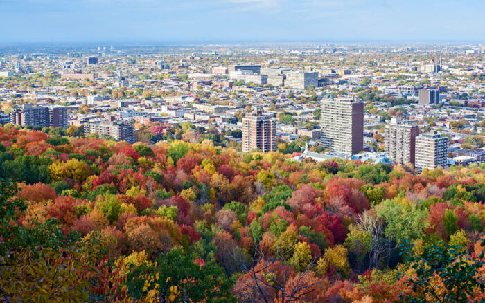 Färgrik höstutsikt från Mount Royal över staden Montreal.