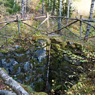 Dagens gröna 14 oktober – Varggrop Dagens gröna 14 oktober – Varggrop