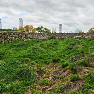 Dagens gröna 17 oktober – Potatispesten Dagens gröna 17 oktober – Potatispesten