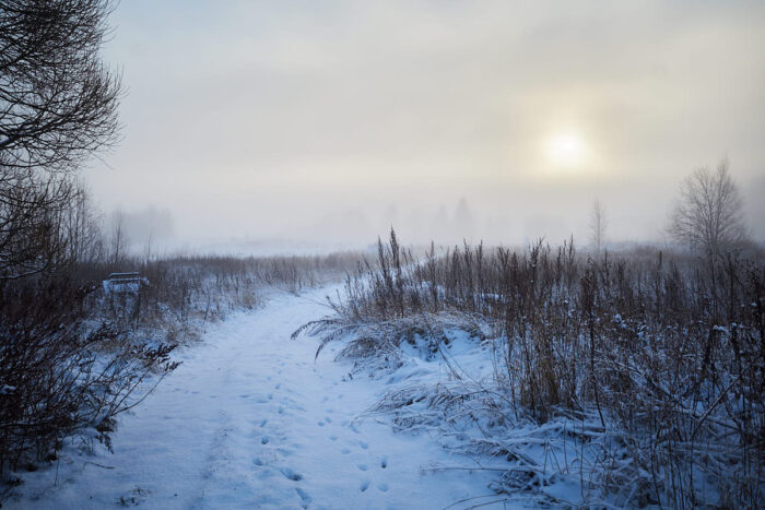 Utsikt mot väg i jordbrukslandskap i kraftig dimma som solen försöker ta sig igenom.
