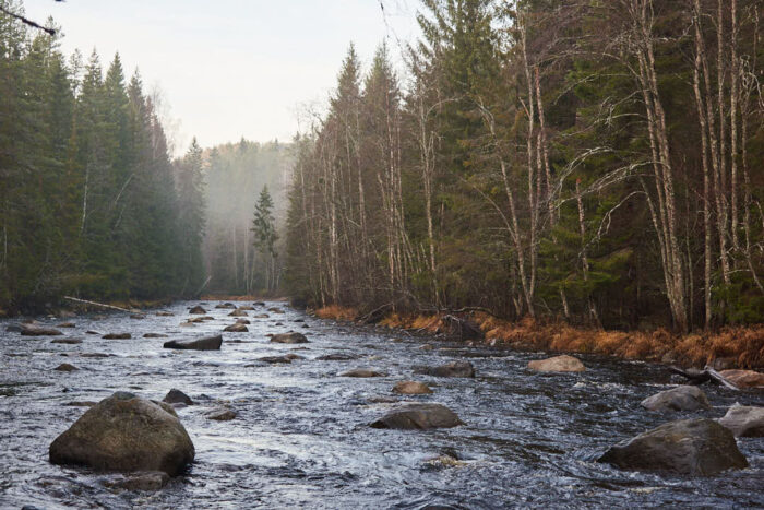 Ljustorpsån forsar fram över stenar och block genom skogslandskap.