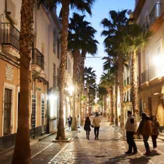 Dagens gröna 12 november – Ett underbart virrvarr i Cádiz