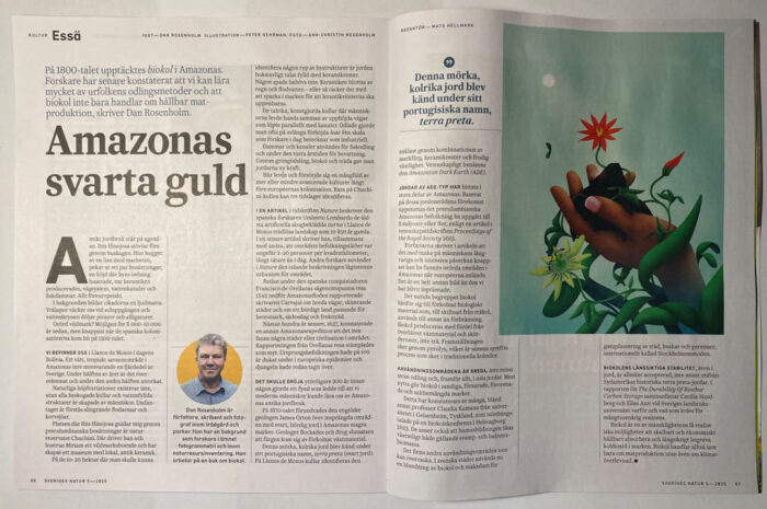 Bild av Essä i Sveriges natur