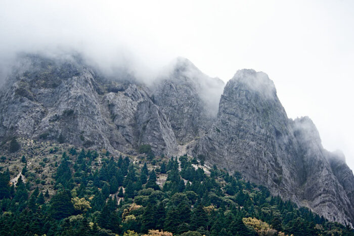 Vy över toppar i Parque natural de la Sierra de Grazalema med Abies pinsapo nedanför.