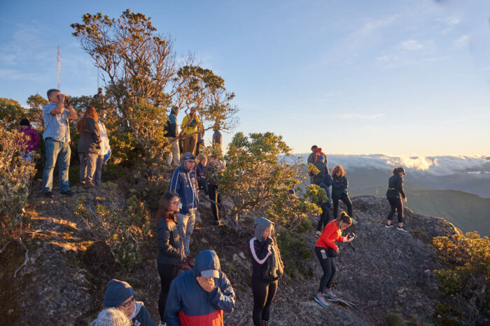 Grupp av människor som inväntar soluppgång på berg