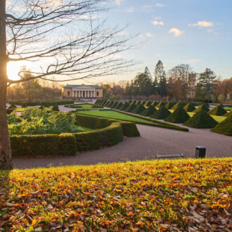 Dagens gröna 29 oktober – Uppsala botaniska