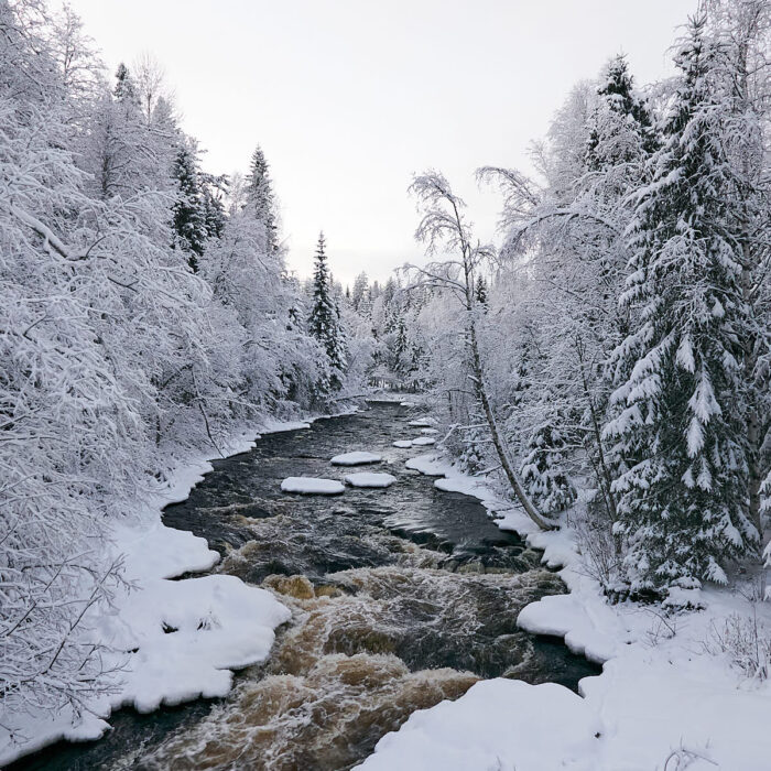 Nylandsforsen mellan Ljustorp och Lagfors  i vinterskrud