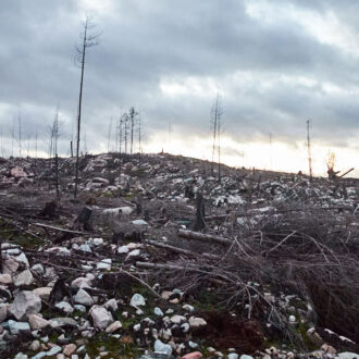 Dagens gröna 9 december – Är sotsvart Dagens gröna 9 december – Är sotsvart
