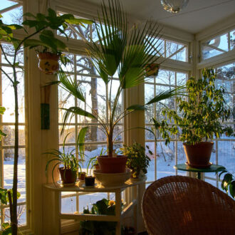 Dagens gröna 18 december – Inglasat uterum med snövy Dagens gröna 18 december – Inglasat uterum med snövy