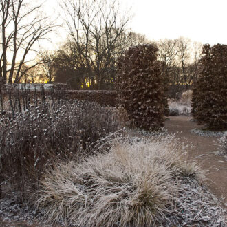 Dagens gröna 19 december – Frostig drömpark Dagens gröna 19 december – Frostig drömpark