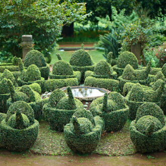 Dagens gröna 23 december – Den formklippta Jardim da Senhora Dagens gröna 23 december – Den formklippta Jardim da Senhora